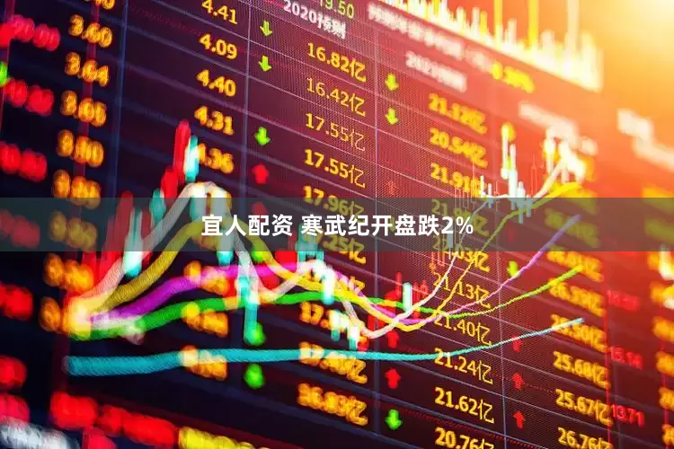 宜人配资 寒武纪开盘跌2%