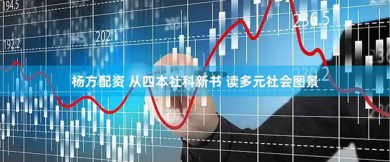 杨方配资 从四本社科新书 读多元社会图景